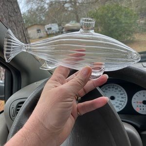 Glass fish